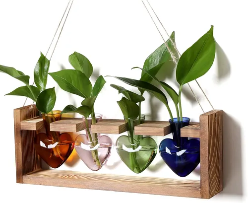 Vista 9 de Estaciones de propagación de plantas, kit de terrario de plantas de corazón, regalo para mujeres, amantes de las plantas, jarrones de vidrio Ámbar