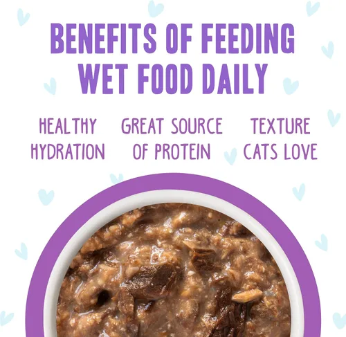 Vista 5 de Weruva B.F.F. OMG - Best Feline Friend Oh My Gravy!, Booya! - Alimento para gatos con carne de res y pollo en salsa, bolsa de 2.8 onzas