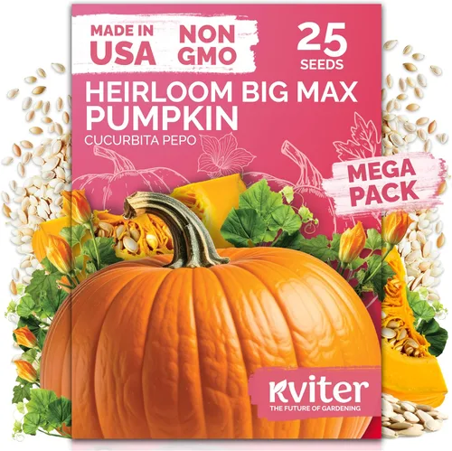 Vista 174 de 500 Ball's Orange Calendula Heirloom Flower Seeds, Calendula Officinalis