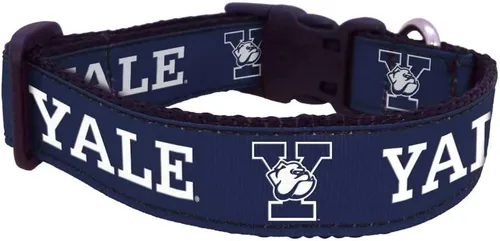 Vista 72 de Collar de Perro Universitario (Pequeño, Fuerza Aérea)