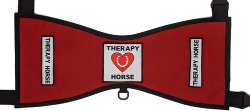 Vista 3 de Chaleco terapéutico para caballo #1 – Deluxe (tamaño 1 (altura 18"-24" en cruz) W, negro)