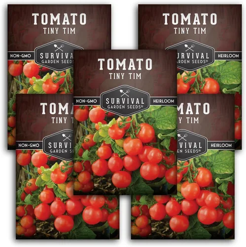 Vista 12 de Tiny Tim Semillas de tomate – Tomates cherry enanos para plantar en interiores o patio, variedad de reliquia compacta para contenedores, alto