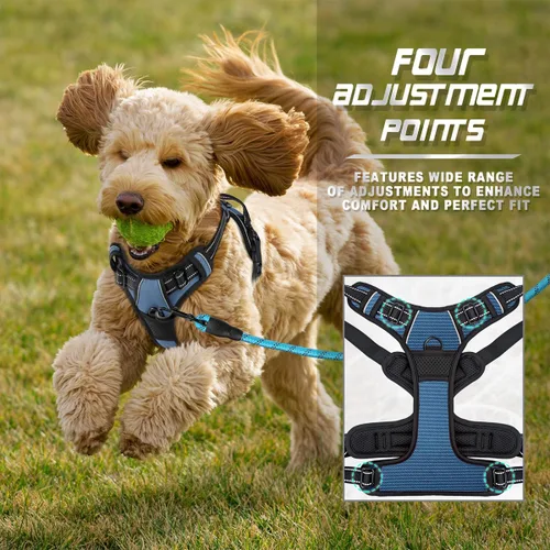 Vista 229 de BARKBAY - Arnés para perro sin tirones con clip frontal, material resistente y reflectante, asa de fácil control para pasear perros grandes