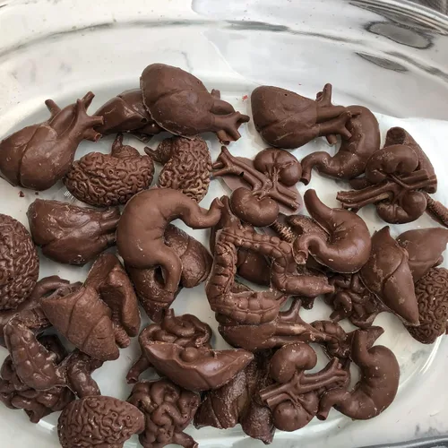 Vista 6 de Moldes de silicona con forma de órganos humanos, 8 unidades, molde de silicona para cerebro y corazón, para hígado, pulmón intestinal, chocolate