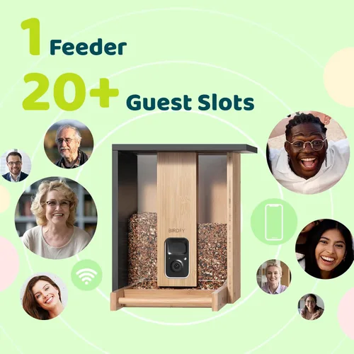 Vista 8 de NETVUE by Birdfy - Comedero inteligente para pájaros con cámara, alimentado por energía solar, vapor vivo de 2K y IA Identificación de especies