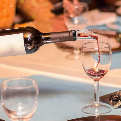 Vista 6 de DERNORD Enfriador de vino 3 en 1 de acero inoxidable para botellas de vino, congelador con aireador y vertedor para enfriar más tiempo, verter