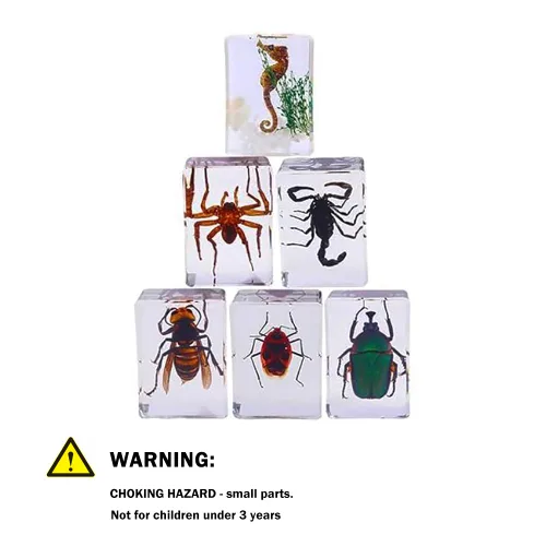 Vista 9 de Espécimen de resina Colección de insectos Pisapapeles Espécimen animal para educación científica 6 estilos insectos
