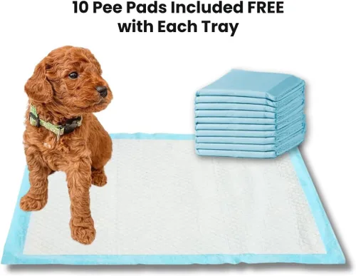 Vista 6 de Little Wolves Bandeja para orinal para cachorros, 22 x 22 pulgadas, bandeja de entrenamiento resistente para cachorros y perros pequeños, fácil