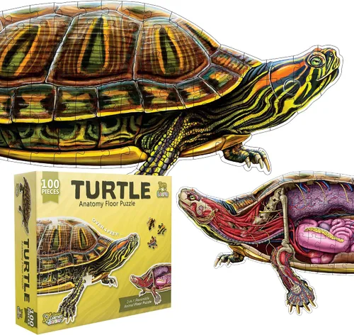 Vista 8 de Bullfrog - Rompecabezas de piso de anatomía animal Rompecabezas de 100 piezas de doble cara Ilustración científicamente precisa de rana de gran