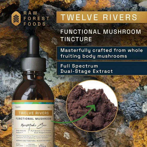 Vista 2 de RAW Forest Foods Tintura de elixir MycoMedic de hongos funcionales de doce ríos - Extracción 1:2 verdadera de doble etapa - Chai de invierno
