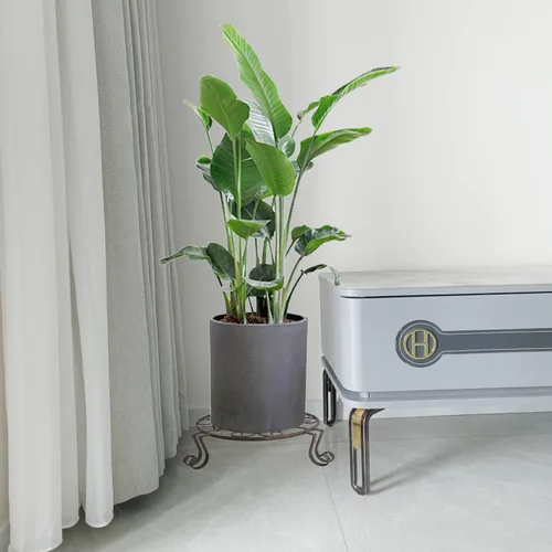 Vista 5 de Paquete de 2 soportes para plantas de 12 pulgadas, soportes metálicos resistentes a la corrosión para uso en interiores y exteriores, soportes