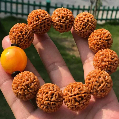 Vista 2 de Pulsera de la suerte con cuentas de turquesa Rudraksha natural de 0.984in #18365