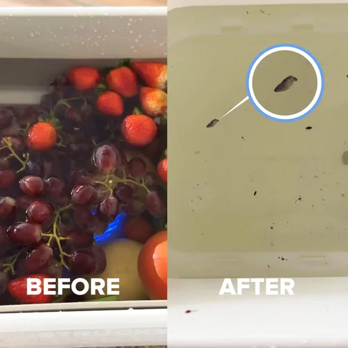 Vista 5 de AquaPure - Lavadora de frutas y verduras, garantía de 1 año, dispositivo limpiador de frutas que limpia productos frescos en agua, limpiador