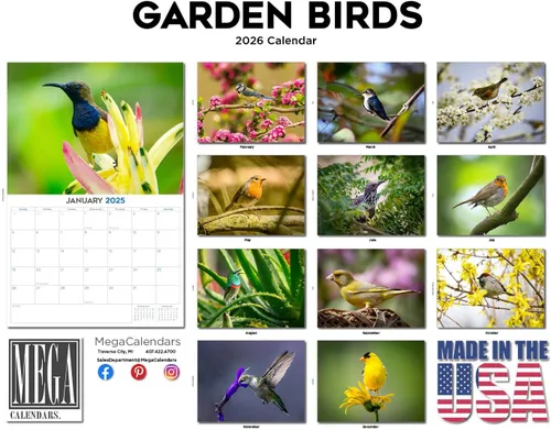 Vista 50 de Calendario de grises africanos 2025 2026 – Planificador mensual de pared de aves africanas – 12 x 18 pulgadas (abierto), calendario de pared
