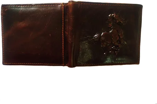 Vista 8 de East Rain - Cartera vertical para hombre, diseño de águila y águila