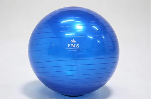 Vista 5 de FIM ISU 25.6 in Fitness Stability Ball • Yoga Balance Ball • Ejercicio Entrenamiento Bola INCLUYE Bomba de Pie