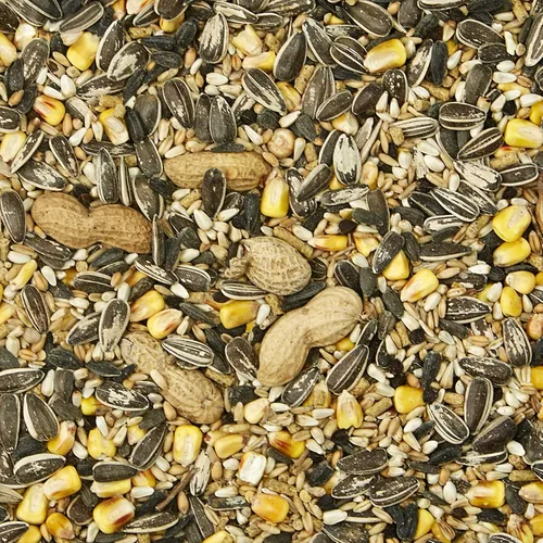 Vista 2 de Kaytee Supreme Pet - Comida para pájaros loro, 5 libras