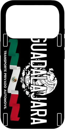 Vista 30 de Guadalajara License Plate Aesthetic, Jalisco Guadalajara Case for iPhone 17
