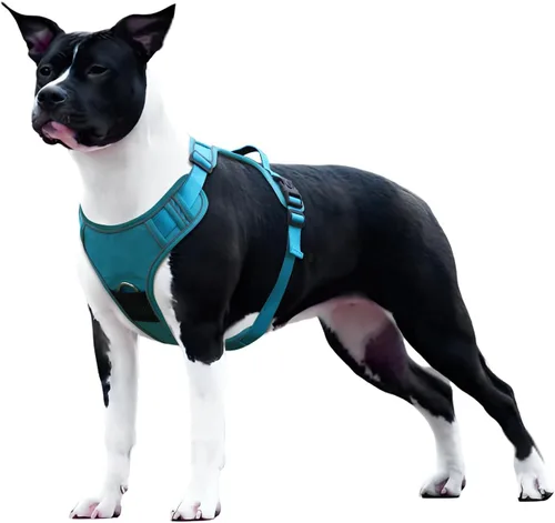 Vista 9 de Arnés sin tirones para perro extragrande, ajustable a prueba de escape, sin estrangulamiento y chaleco reflectante con asa para un fácil control