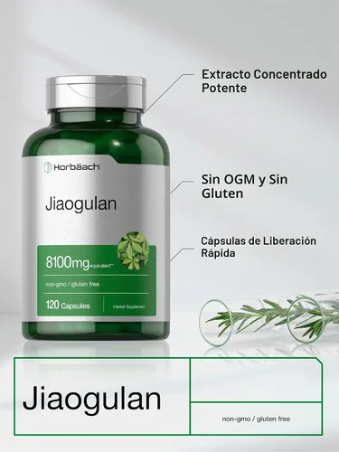 Vista 4 de Horbäach Cápsulas Jiaogulan 120 unidades Extracto de hierbas Gynostemma Pentaphyllum Suplemento sin OMG, sin gluten