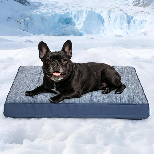 Vista 37 de Tapete refrescante para perros pequeños, almohadilla ortopédica de espuma viscoelástica de 24 x 18 pulgadas para verano, QMAX>0.5, almohadilla