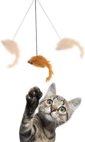 Vista 2 de SPOT A-Door-Able - Juguete interactivo para gatos con sonajero colgante y hierba gatera, entretiene a los gatos durante horas, disfruta