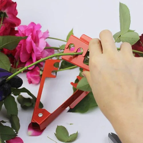 Vista 2 de LuFOX Kit de herramientas para quitar espinas, 4 piezas, herramienta para pelar espinas y hojas y guante de jardín
