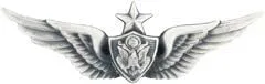 Vista 6 de MEDALS OF AMERICA EST. 1976 Insignia de tripulación aérea de ejército senior, Plateado (Silver Oxide)