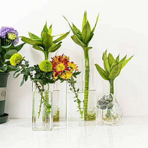 Vista 8 de Kingbuy - Maceta de terrario de plantas, estación de propagación con tubo cuadrado, florero colgante de pared, maceta de vidrio para plantas