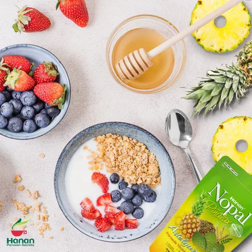 Vista 2 de Nopal PINALAX 100% Natural Mezcla Alta en Fibra 1lb (454g) – Ayuda naturalmente en la limpieza del colon, mejora la digestión y aumenta la energía
