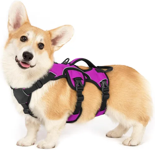 Vista 25 de rabbitgoo - Arnés para perros a prueba de fugas, arnés para mascotas acolchado y suave de cuerpo completo, arnés reflectante ajustable sin tirones