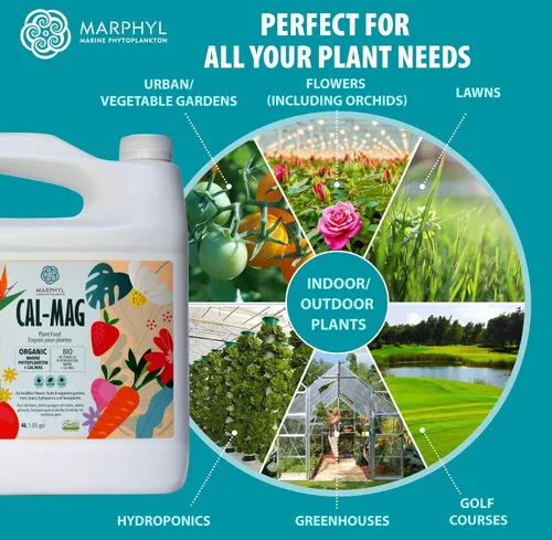 Vista 5 de MARPHYL Fertilizante líquido orgánico CALMAG, calcio + magnesio, corrige las deficiencias comunes de las plantas, para jardín, flores, verduras