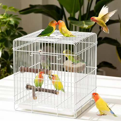 Vista 7 de Paquete de 8 perchas para pájaros, plataformas de madera de manzana natural, ramas de madera dura, accesorios para periquitos, cacatúas, tortolitos