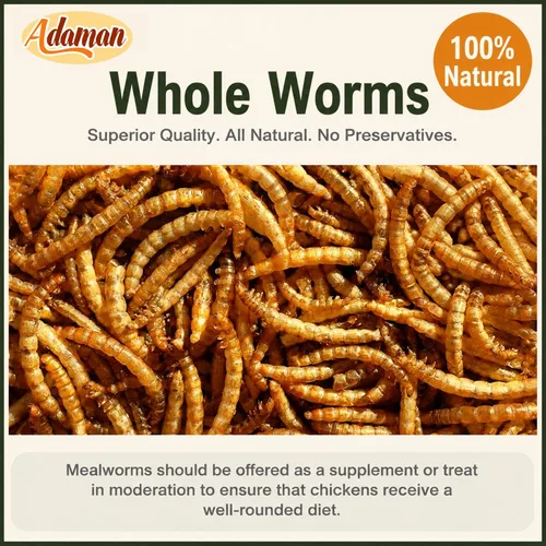 Vista 2 de Adaman - Gusanos secos de harina de 5 libras, alimento para gallinas Gusanos de comida ricos en proteínas para pollos, patos, reptiles y lagartos