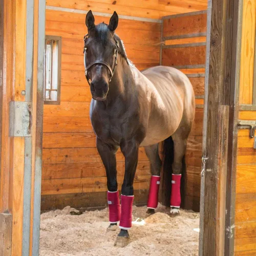 Vista 3 de Dura-Tech Envolturas de pie para caballos Color negro Comodidad y apoyo óptimos Ideal para después del ejercicio y remolque Aplicación