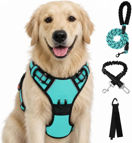 Vista 51 de FURRYFECTION - Arnés para perro a cuadros con correa y cinturón de Rosa