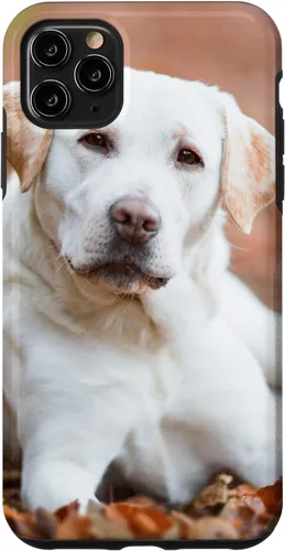 Vista 13 de Labrador Retriever Dog Lover - Carcasa para iPhone 17