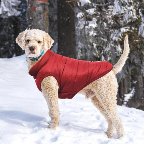 Vista 7 de Abrigo cálido para perro, chaqueta resistente al viento para perro, abrigos de invierno para mascotas, ropa para perros de color sólido, chaqueta