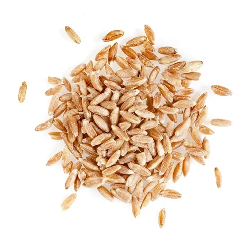 Vista 6 de Sanniti Farro Perlado Italiano Perlato, 17.6 oz (Paquete de 2)