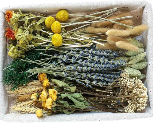 Vista 12 de xin's convey Kit de flores preservadas naturales de bricolaje, flores preservadas al por mayor para jarrones, flores preservadas con tallos, mini