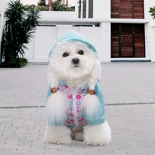Vista 3 de Sudaderas azules con capucha para perros pequeños y medianos, sudadera con capucha de Navidad con bolsillo, sudadera con capucha para mascotas