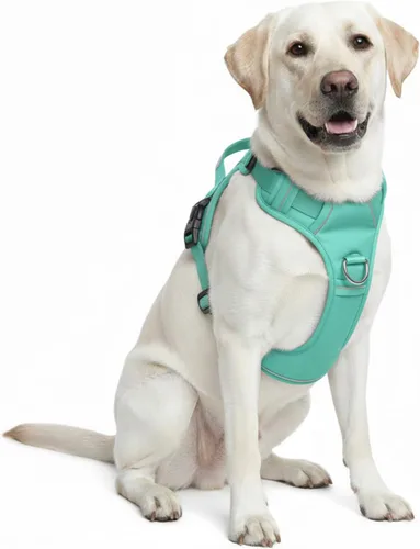Vista 12 de Arnés sin tirones para perro, con 2 clips para correa, chaleco Oxford reflectante ajustable para mascotas con asa de fácil control para perros Negro