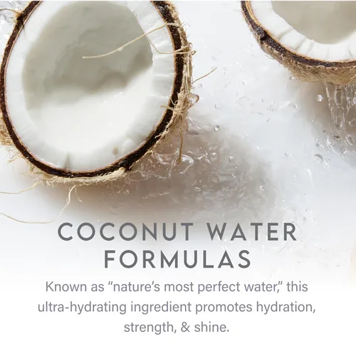 Vista 7 de ALURAM Champú morado de agua de coco para mujeres, aumenta el brillo, elimina el latón, para todo tipo de cabello