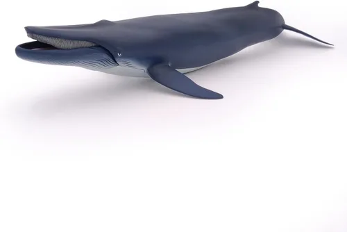 Vista 6 de Papo - Figura realista de ballena azul para niños - A partir de 3 años - Colección de vida marina - Juego educativo de mamíferos marinos - Juguete