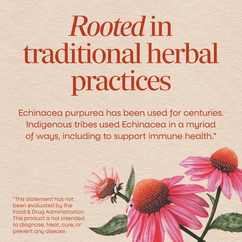 Vista 3 de Nature's Way Echinacea Purpurea Hierba, suplemento herbario tradicional para apoyo a la salud inmunológica*, cápsulas de equinácea con 1200 mg por
