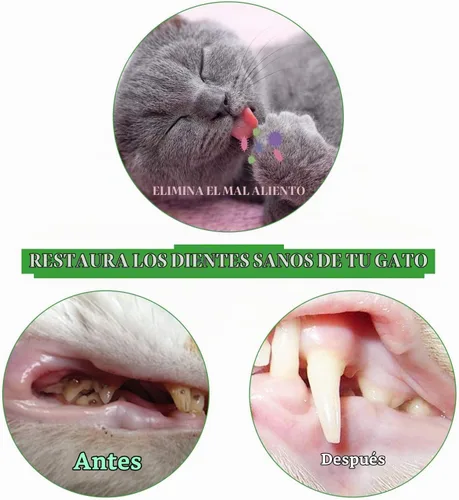 Vista 12 de Paquete de 2 cepillos de dientes para gatos, juguete masticable Azul