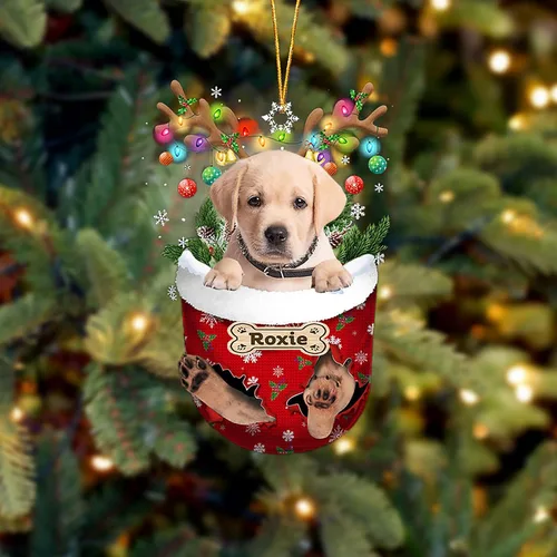 Vista 202 de LOVELYPOD Adorno Personalizado de Perro Affenpinscher, Adornos de Navidad Affenpinscher Regalo para Amante de Perros, Adorno de Navidad Colgante