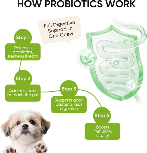 Vista 4 de Probióticos para perros Salud digestiva intestinal Probióticos masticables