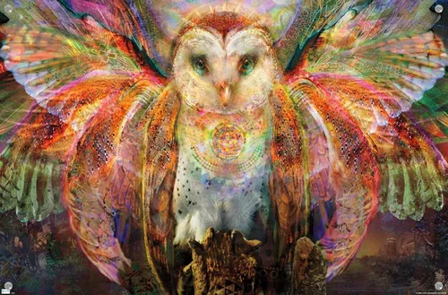 Vista 4 de Trends International Jumbie - Owl Wall Poster, 14.72" x 22.37", Premium Poster & Push Pin Bundle
