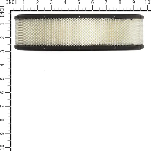Vista 2 de Briggs & Stratton Cartucho de filtro de aire ovalado 394019S